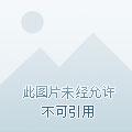 相亲当天，捡到失忆豪门继承人